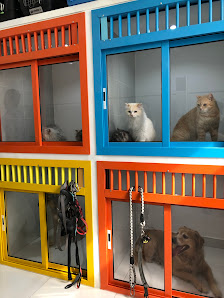 Fluffies Pet Stop Clinic thumb 3